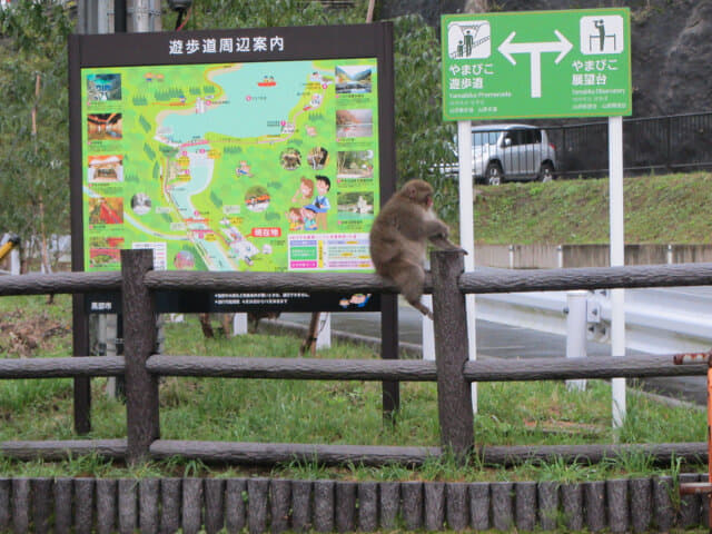 黑部峽谷山彥遊步道起點