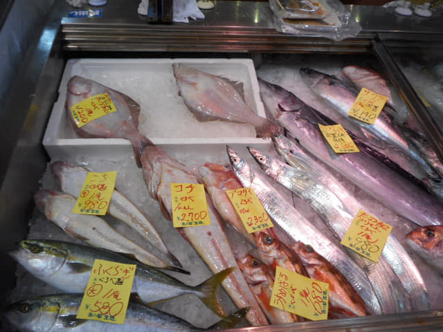 黑部市 魚の駅生地 とれたて館 富山灣魚類