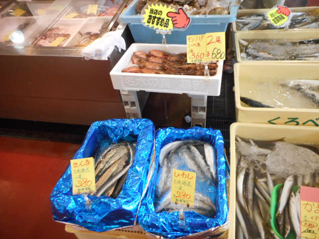 黑部市 魚の駅生地 とれたて館 富山灣魚類