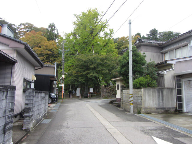 冰見市 朝日山公園