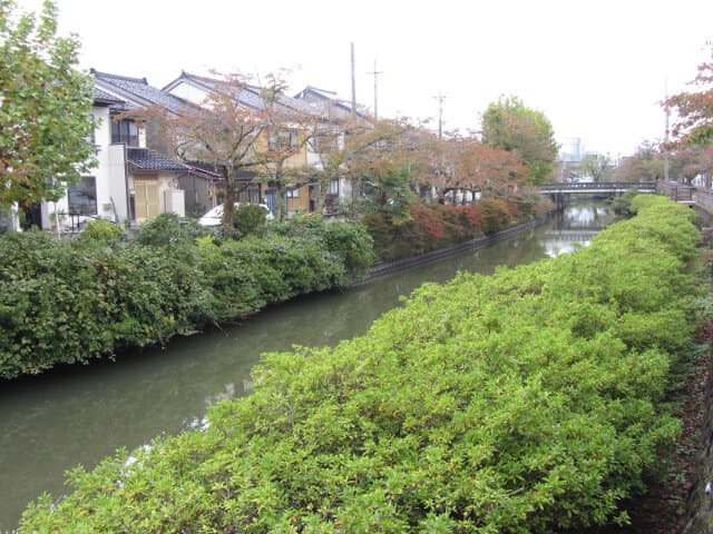 冰見市．湊川風景