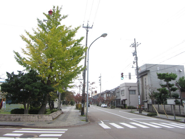 富山縣．射水市 八幡公園