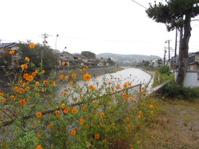 金澤市 浅野川