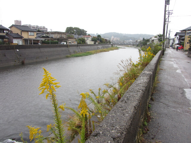 金澤市 浅野川