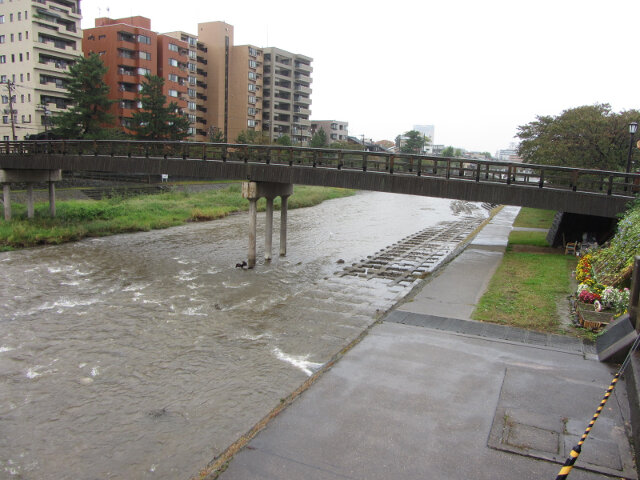 金澤．浅野川 梅の橋