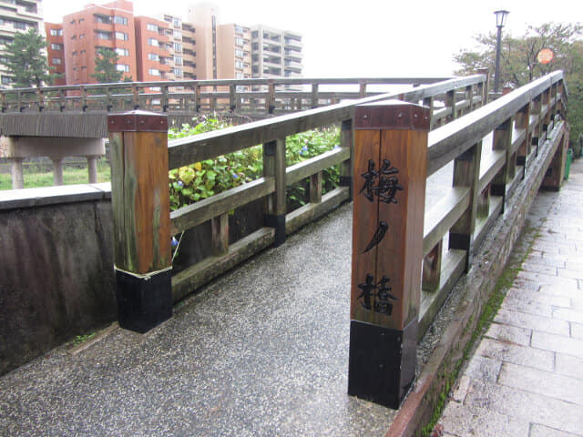 金澤．浅野川 梅の橋