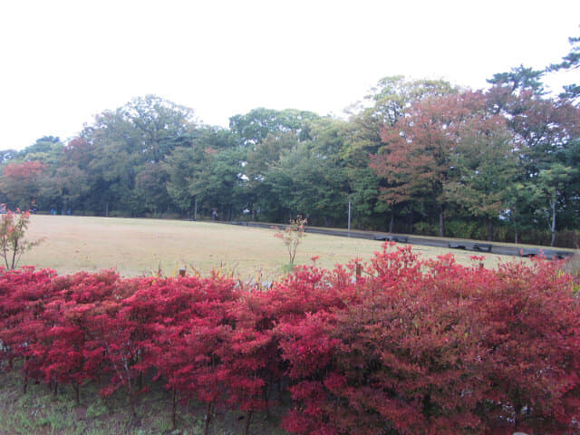 金澤城公園