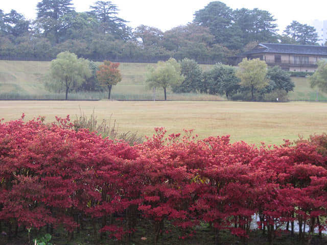 金澤城公園