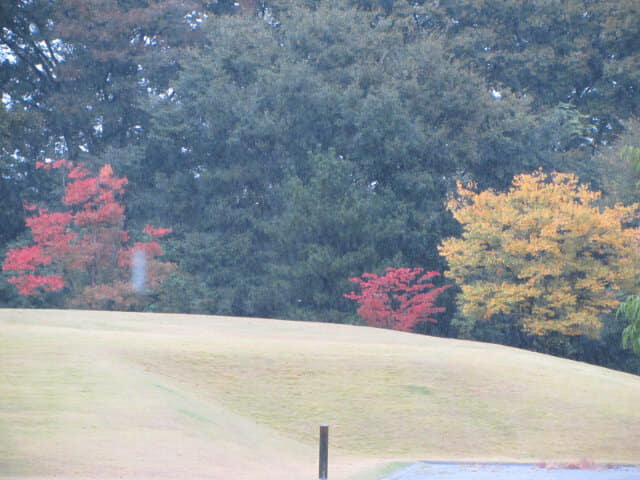 金澤城公園