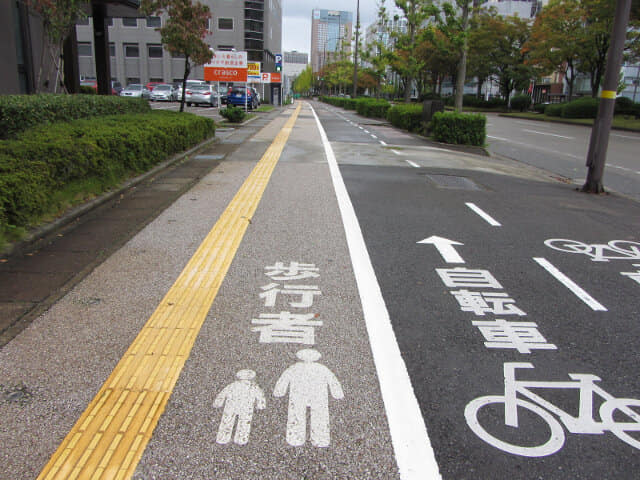 金澤駅西前 けやき大通り