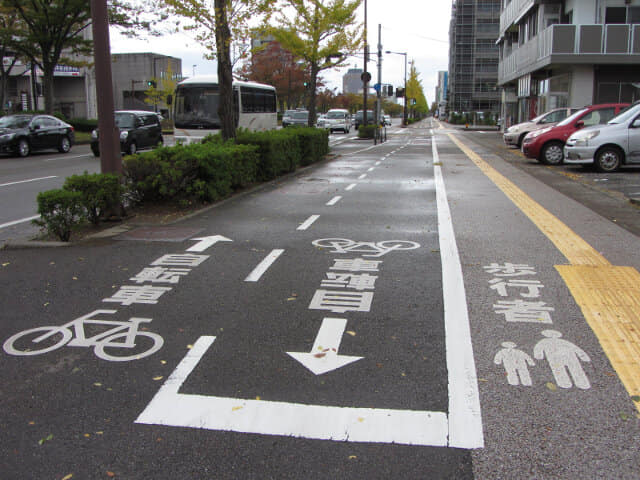 金澤駅西前 けやき大通り