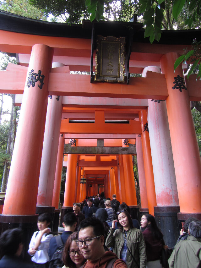 京都．伏見稻荷大社 祭場鳥居隧道