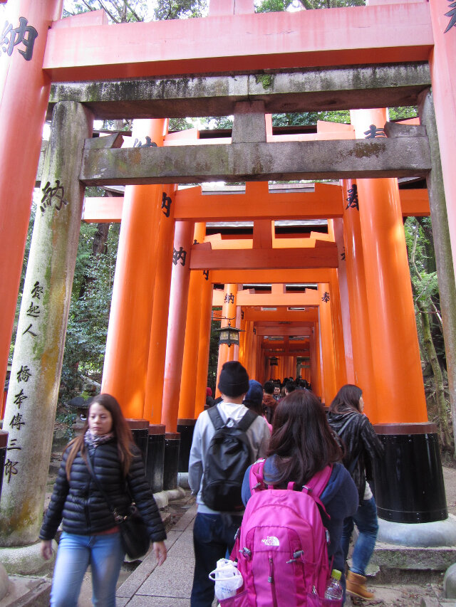 京都．伏見稻荷大社 祭場鳥居隧道