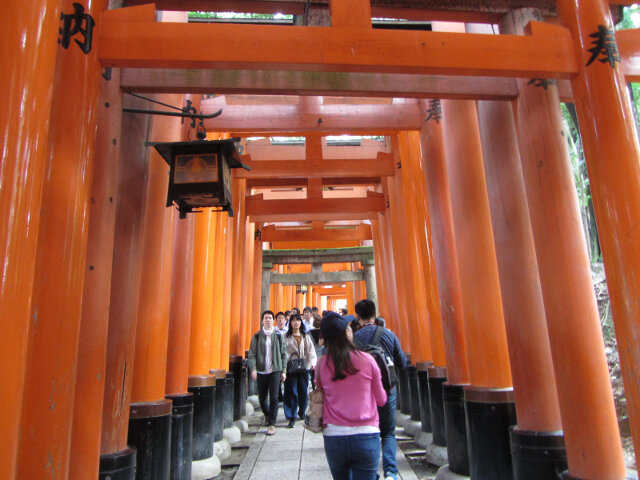 京都．伏見稻荷大社 祭場鳥居隧道