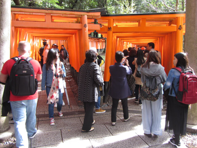 京都．伏見稻荷大社 千本鳥居出入口