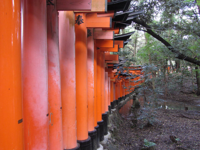 京都伏見稻荷大社．千本鳥居