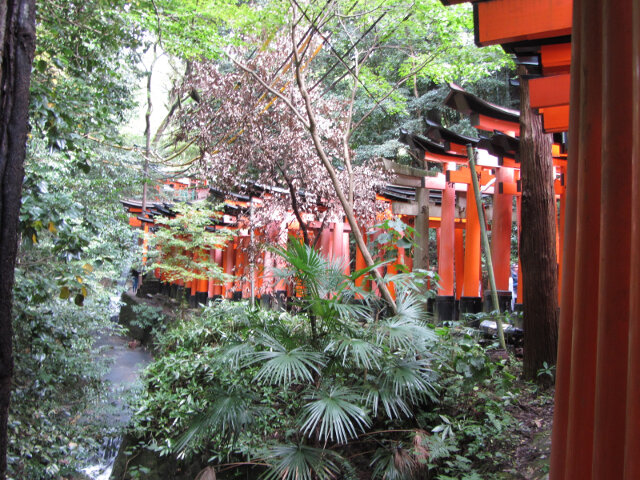 京都伏見稻荷大社．千本鳥居