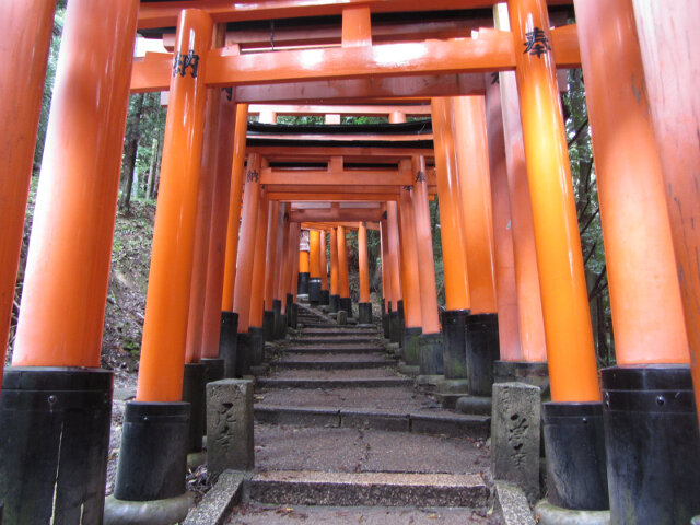 京都伏見稻荷大社千本鳥居 往稻荷山山頂