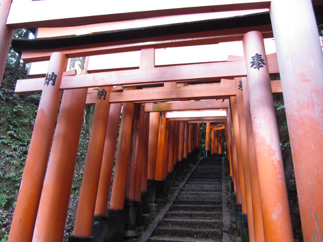 京都伏見稻荷大社千本鳥居 往稻荷山山頂