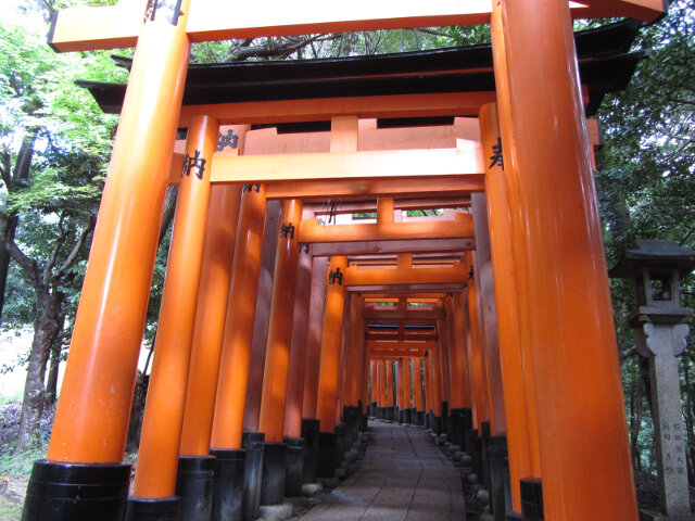 京都伏見稻荷大社千本鳥居 往稻荷山山頂