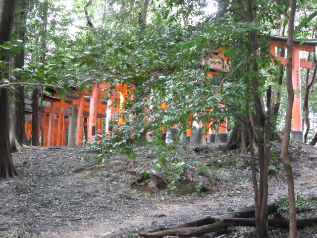 京都伏見稻荷大社千本鳥居 往稻荷山山頂