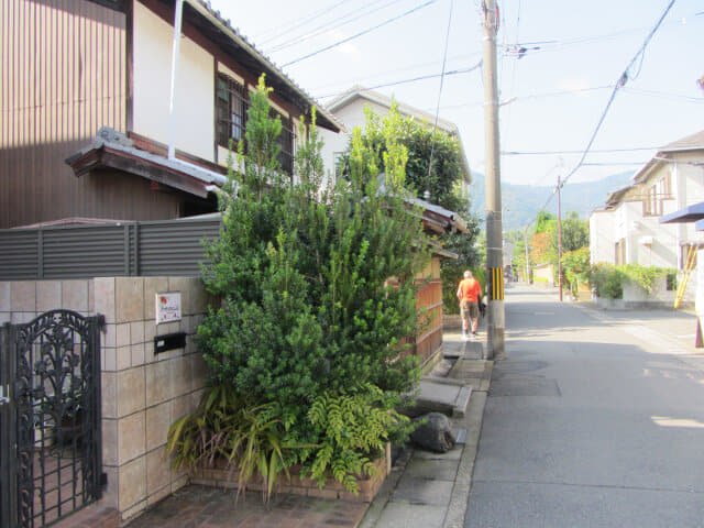 京都嵯峨嵐山駅步行往竹林之道