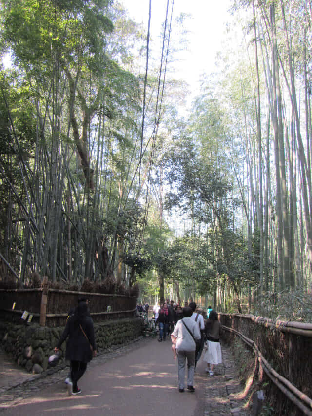 京都．嵐山竹林之道