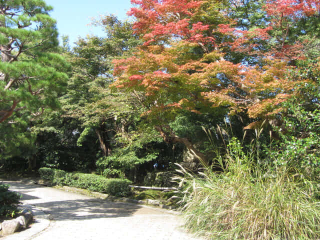 京都嵐山嵯峨野 紅葉