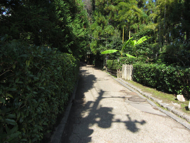 京都嵐山嵯峨野寺廟區