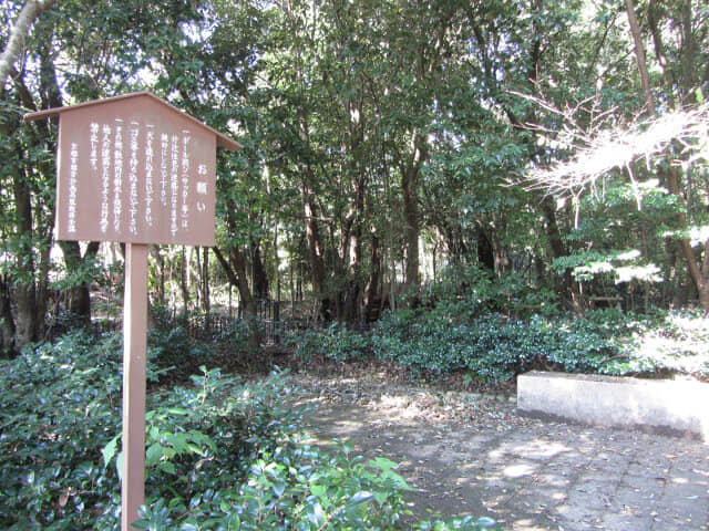 京都嵐山嵯峨野