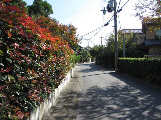 京都嵐山嵯峨野