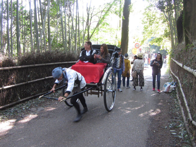 京都嵯峨野竹林之散策路