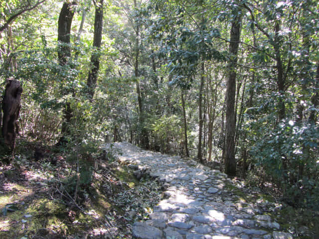 京都嵐山．龜山公園往保津川畔山路