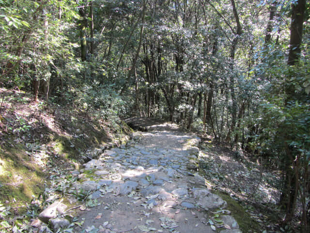 京都嵐山．龜山公園往保津川畔山路