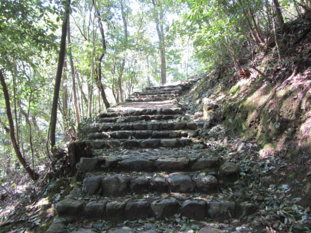 京都嵐山．龜山公園往保津川畔山路