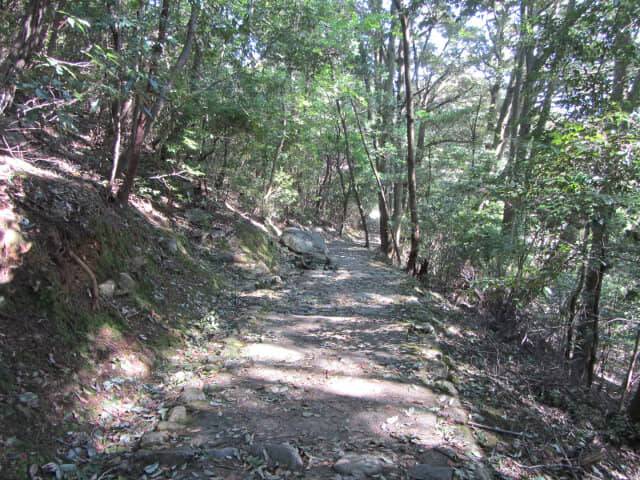 京都嵐山．龜山公園往保津川畔山路