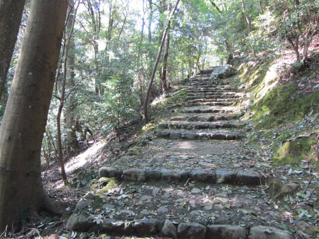 京都嵐山．龜山公園往保津川畔山路