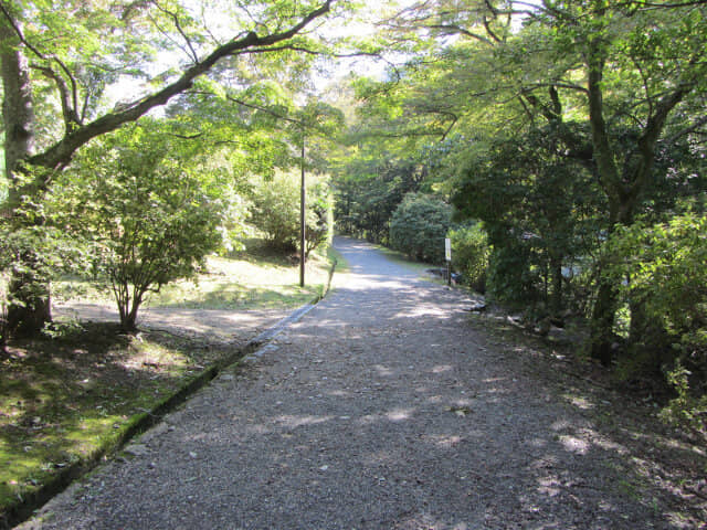 京都嵐山．龜山公園往保津川畔山路