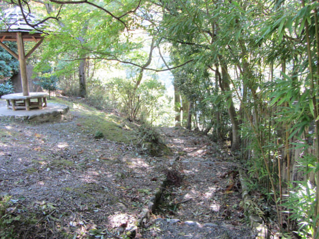 京都嵐山．龜山公園往保津川畔山路