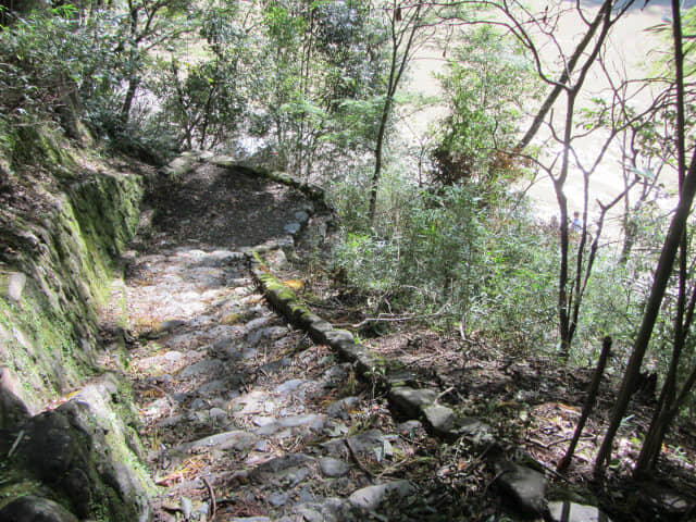 京都嵐山．龜山公園往保津川畔山路