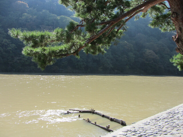 京都嵐山．保津川