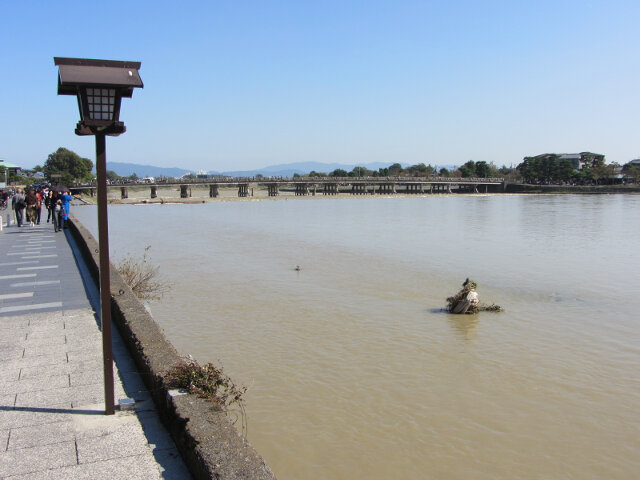 京都嵐山．保津川 渡月橋