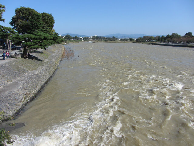 桂川 (保津川、大堰川)