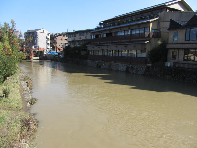 桂川 (保津川、大堰川)