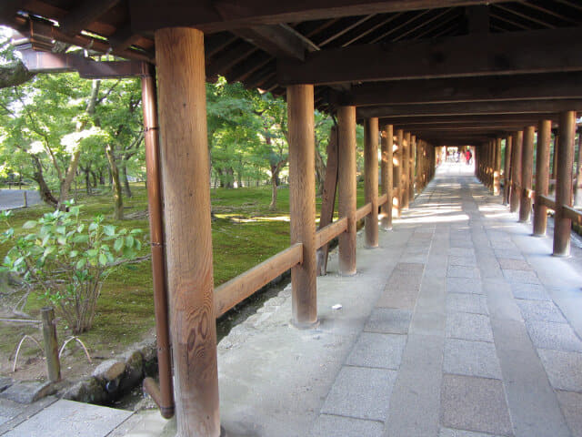 京都東福寺．通天橋