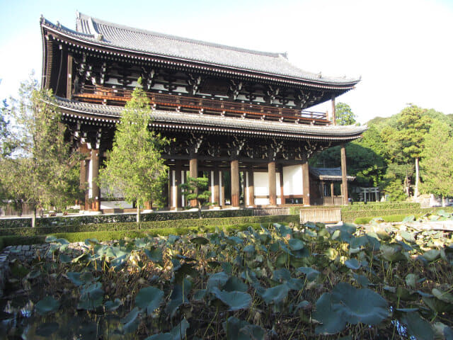 京都東福寺．山門旁的思遠池．蓮池