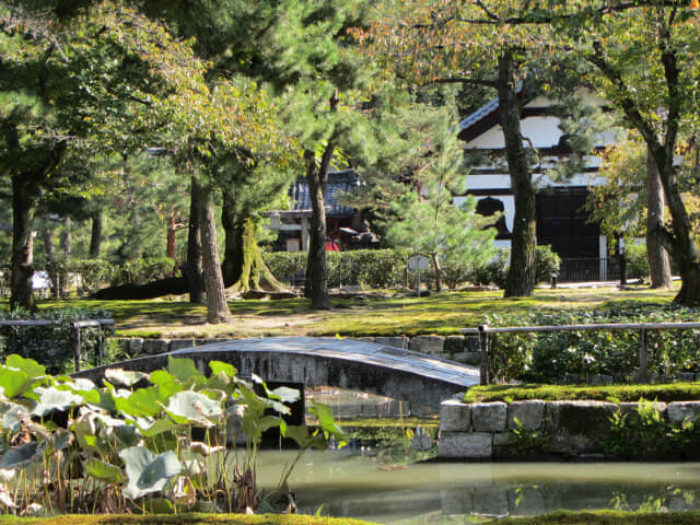 京都東山區 建仁寺