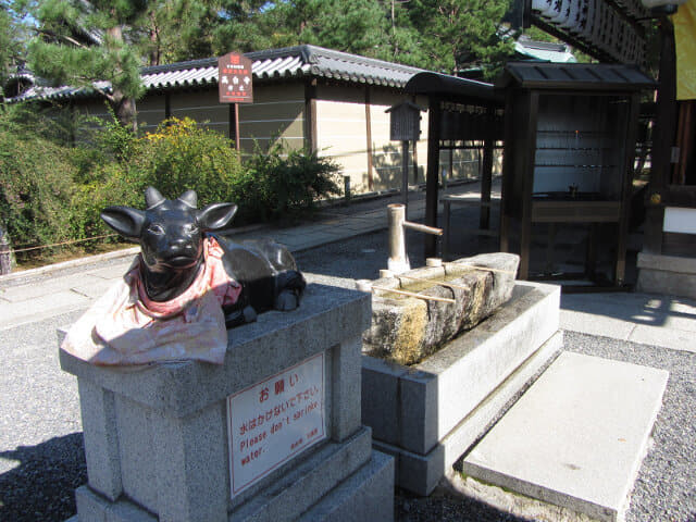 京都東山區 高台寺