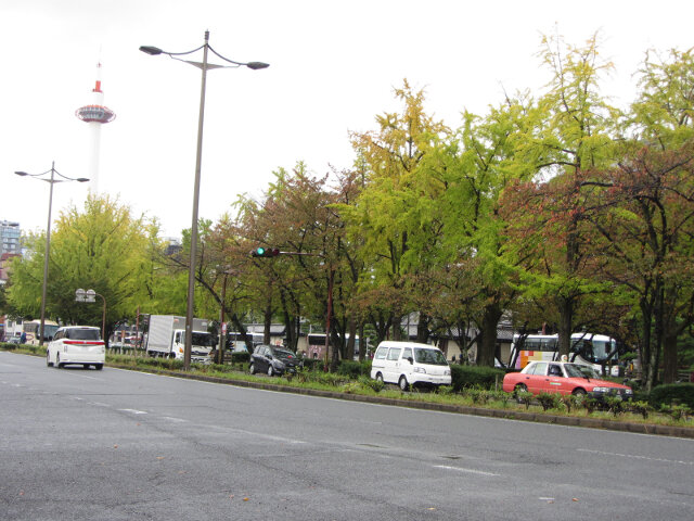 京都 烏丸通大道