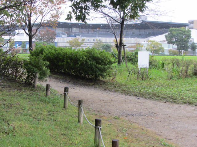 京都 梅小路公園水族館